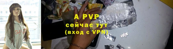стафф Семилуки