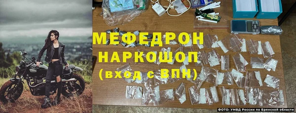 стафф Семилуки