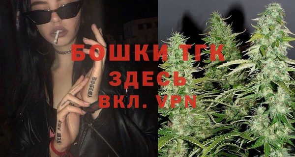 стафф Семилуки