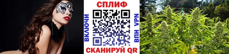 Купить  Находка  Канабис сатива 